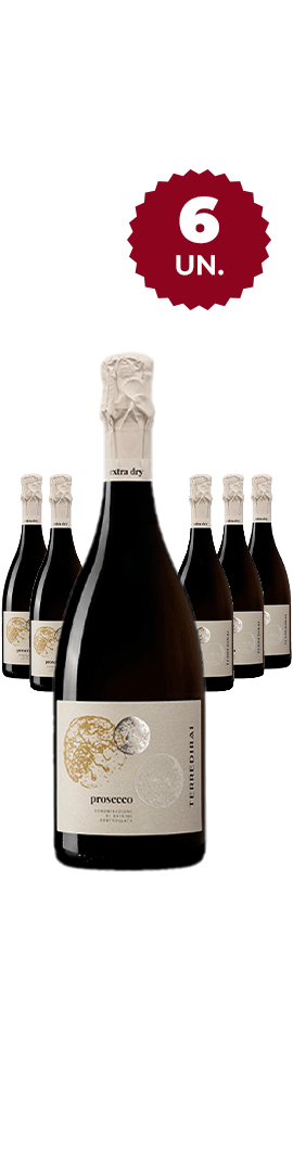 1 caixa - Terre di Rai Prosecco Extra Dry